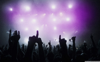 Crowd concert people hands up - a concert free wallpaper