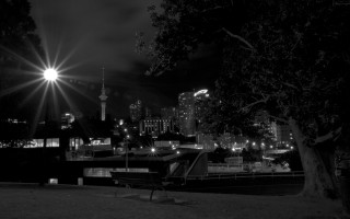 Bench grass tree city skyline - ben thompson free wallpaper
