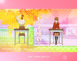 Girl chicken desk sitting shoulder - a girl sitting free wallpaper