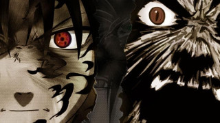 Cat dog artistic photo together - a cat and a dog free wallpaper