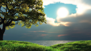Tree hill lake sun sky 2 - a sunbeam free wallpaper