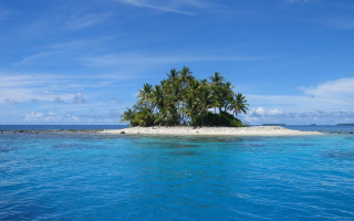 Small island palm trees ocean 6 - two palm tree free wallpaper