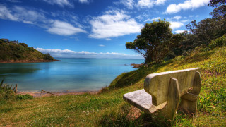 Bench hill water tree blue 5 - bob thompson free wallpaper