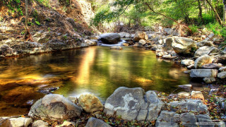 Lush forest stream waterfall rocks - a stream free wallpaper