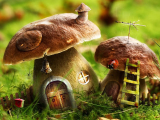 Mushrooms ladder grass house door - a ladder free wallpaper