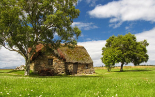 Stone house grass roof tree - flora macdonald reid free wallpaper