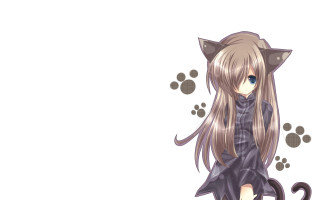 Cat girl long hair cat - a white background free wallpaper for desktop