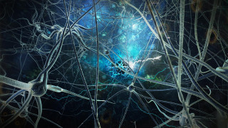 Tree sky blue light star - biopunk free wallpaper