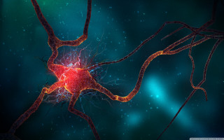 Nematic cell red light blue - biopunk free wallpaper