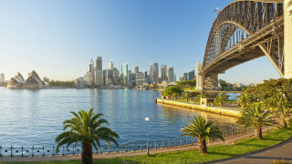 Bridge river city palm trees - elizabeth durack free wallpaper
