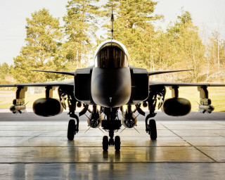 Large jet tarmac forest parking - a large jet free wallpaper