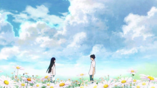 Couple people field flowers clouds - a field of flowers free wallpaper
