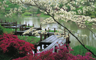 Wooden dock flowers trees lake - free spring wallpaper