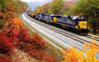 Train autumn forest tracks leaves - a train free wallpaper