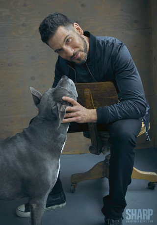 Man dog sitting petting tachisme - a table next free wallpaper