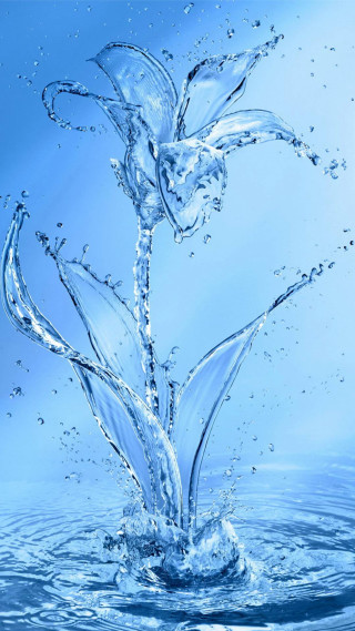 Flower splashing water blue background - ecological art free wallpaper