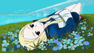 Woman laying field flowers grass - a field of flowers and grass free wallpaper