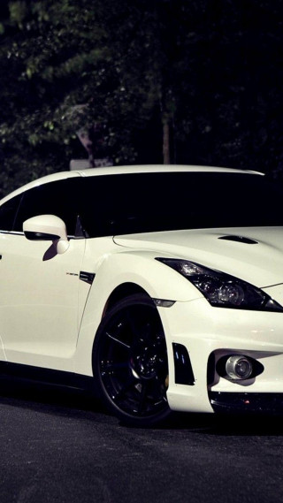White sports car night trees - the side of the road free wallpaper