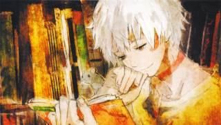 Boy reading book mouse bookshelf - a mouse free wallpaper