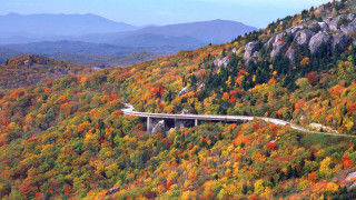 Forest fall foliage road bridge - douglas robertson bisset free wallpaper