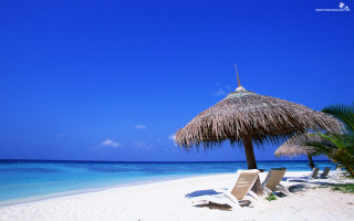 Beach thatched umbrella chairs blue 3 - umbrella free wallpaper