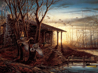 Ducks flying cabin woods sunset - over the water free wallpaper