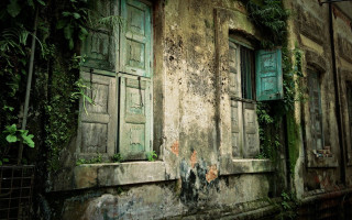 Building green doors ivy growing - bikash bhattacharjee free wallpaper