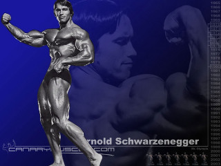 Muscular man blue background image - the background of the image free wallpaper