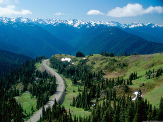 Winding road green valley mountains - a lush green valley free wallpaper
