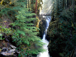 Waterfall bridge forest river trees - a bridge over free wallpaper