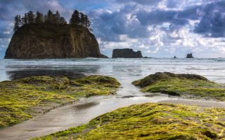 Rocky beach moss sand rock - douglas robertson bisset free wallpaper