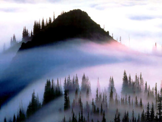Mountain fog trees sky background - low free wallpaper