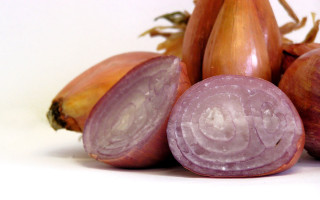 Onions pile white surface background - a white background behind them free wallpaper