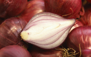 Onion closeup vegetables bowl table - a table top free wallpaper