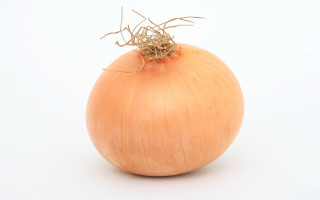Onion white background brown stems - photorealistic imagery free wallpaper for desktop