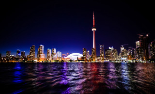 City skyline night bright light 2 - bruce munro free wallpaper