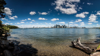 Lake city tree stump blue - bruce munro free wallpaper