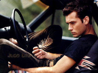 Man sitting car holding bird - handsome free wallpaper