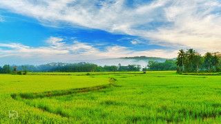 Green field trees clouds blue - beautiful landscape free wallpaper