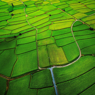 Green field river sky background - free landscape wallpaper