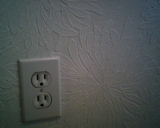 White wall flower design light - earnst haeckel free wallpaper