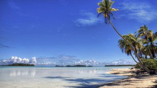 Beach palm trees clouds sky 2 - derek chittock free wallpaper
