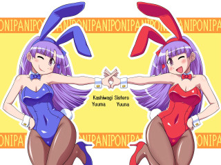 Anime girls purple hair bunny 2 - a red dress free wallpaper for desktop
