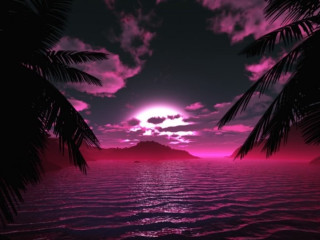 Pink sunset palm trees mountain - over the water free wallpaper