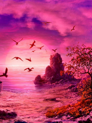 Boat ocean birds sunset pink - bird free wallpaper