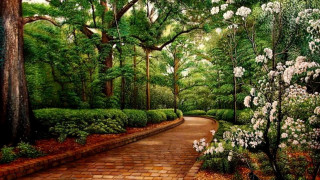White flowering bush brick path - a pointillism painting free wallpaper
