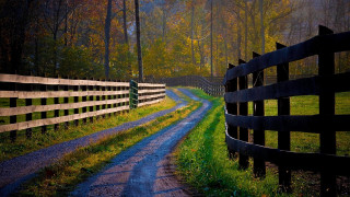 Dirt road fence forest night - beautiful landscape free wallpaper