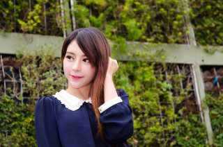 Woman fence bushes green plant - white collar free wallpaper