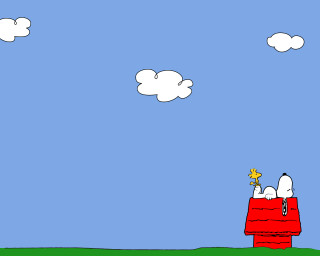 Dog star on red roof - its mouth free wallpaper