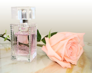 Pink rose perfume bottle table - a pink rose free wallpaper